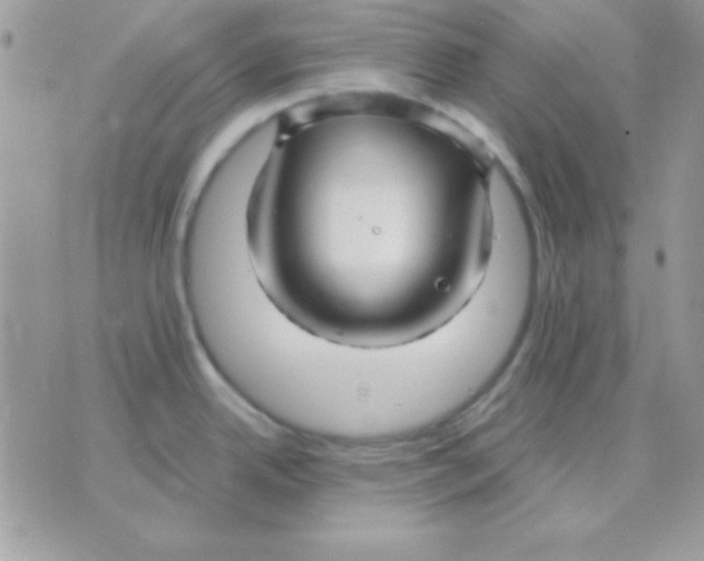 X0000071331342200607211958