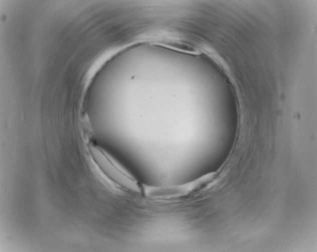 X0000071331344200607211958