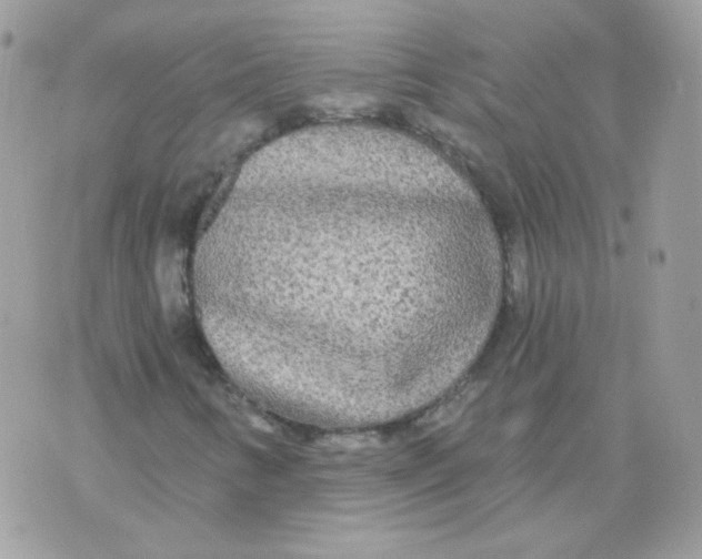 X0000071331346200607211957