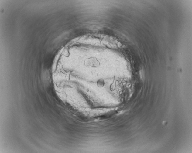 X0000071331347200607211957