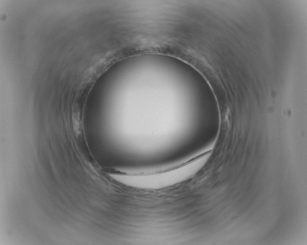 X0000071331348200607211957