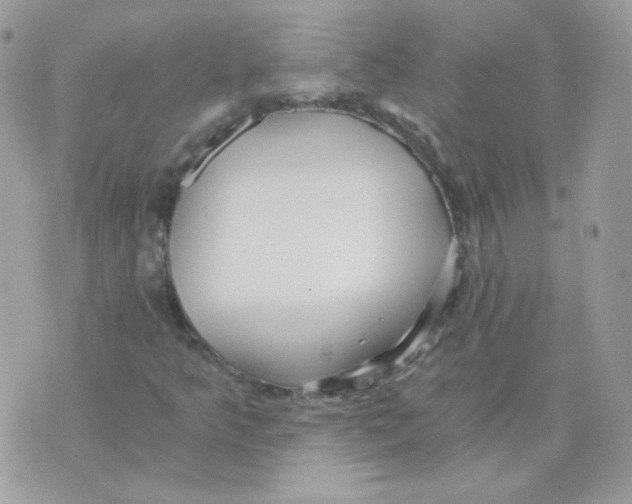 X0000071331349200607211957