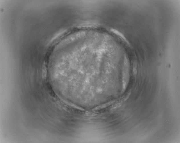 X0000071331350200607211957