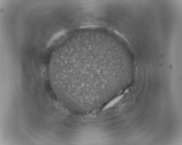 X0000071331351200607211957