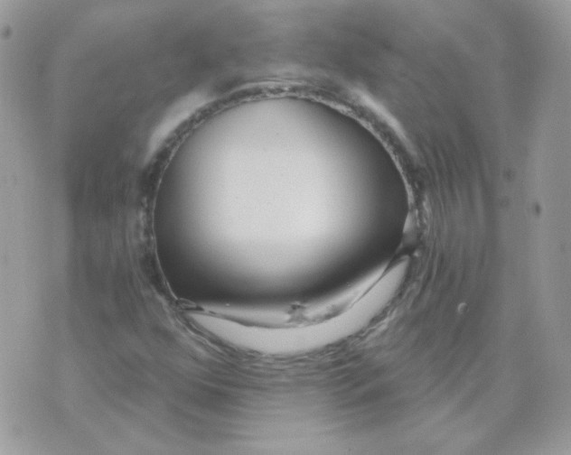 X0000071331352200607211957