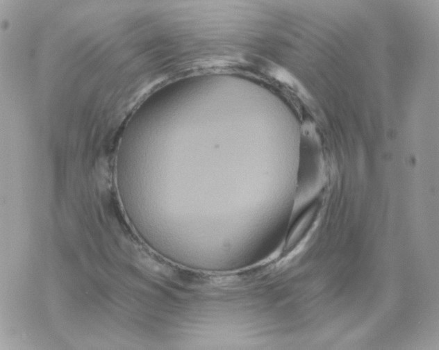 X0000071331353200607211957