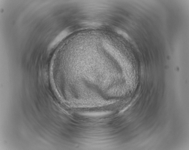 X0000071331354200607211957