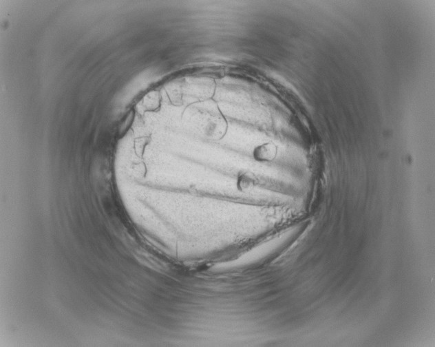 X0000071331355200607211957