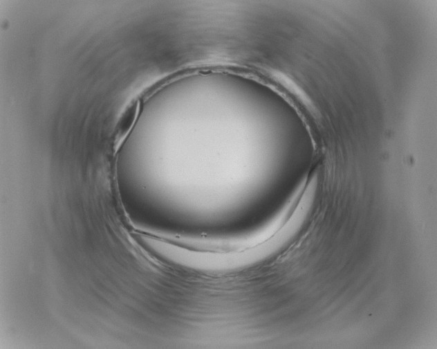 X0000071331356200607211957