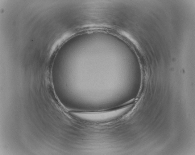 X0000071331357200607211957