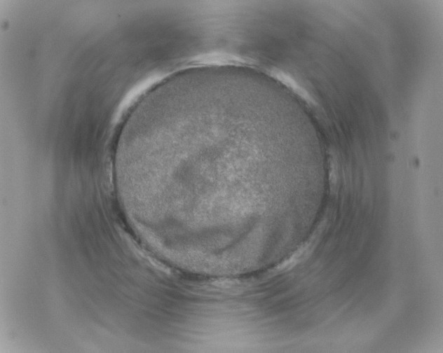 X0000071331358200607211957