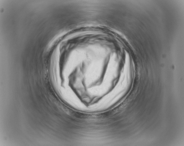 X0000071331359200607211957