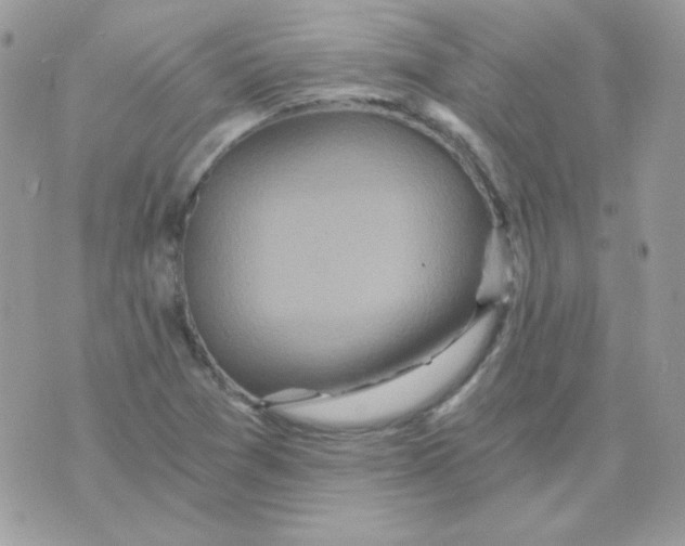 X0000071331361200607211957