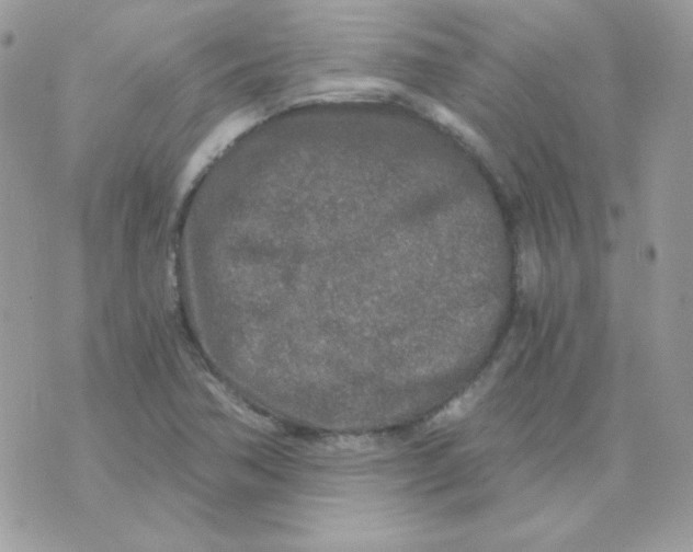 X0000071331362200607211957