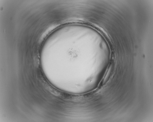 X0000071331363200607211956