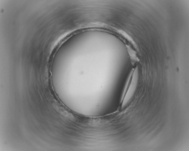 X0000071331364200607211956