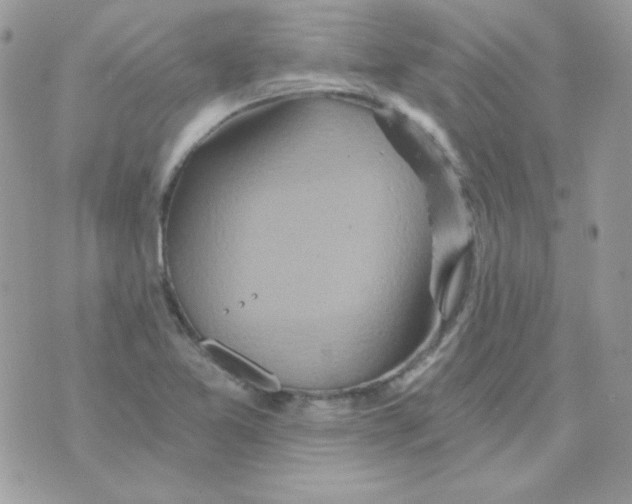 X0000071331365200607211956