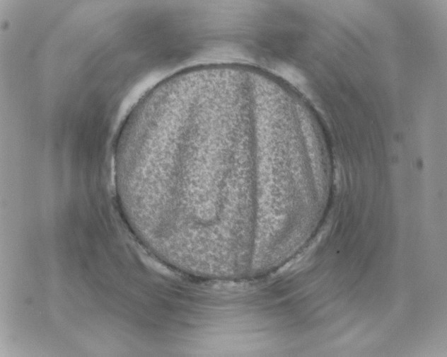 X0000071331366200607211956