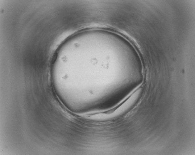 X0000071331367200607211956