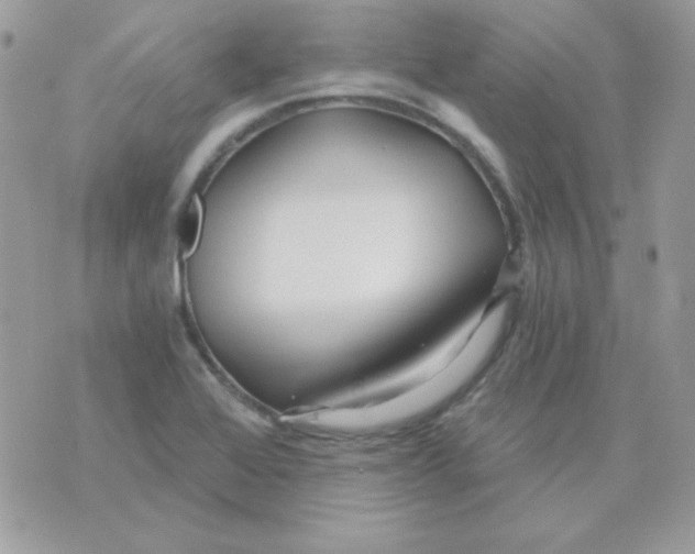 X0000071331368200607211956