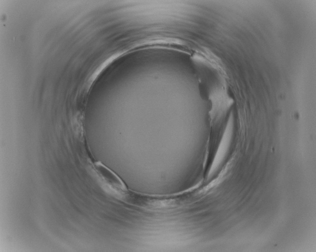 X0000071331369200607211956