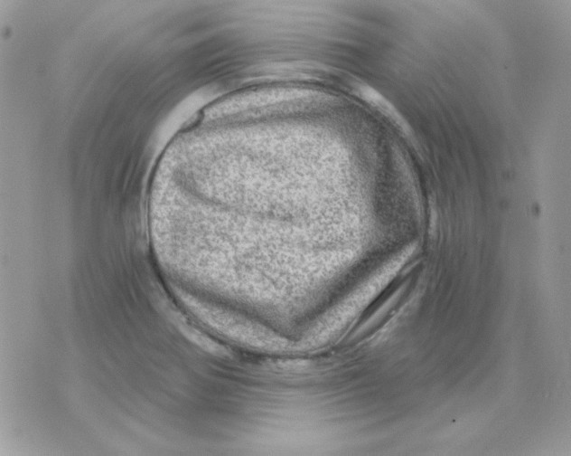 X0000071331370200607211956