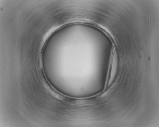 X0000071331371200607211956