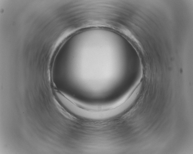 X0000071331372200607211956