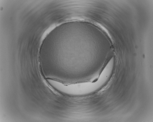 X0000071331373200607211956