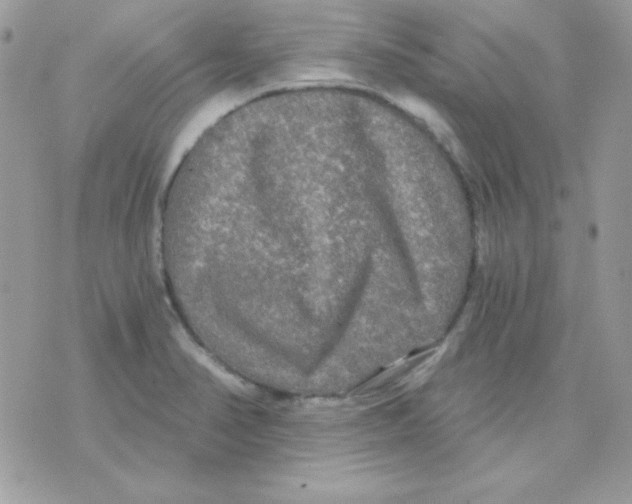 X0000071331374200607211956