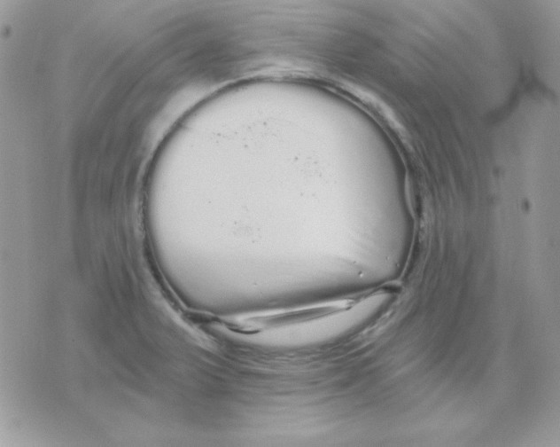 X0000071331375200607211956