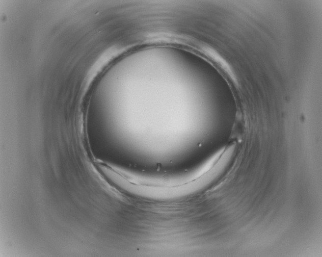 X0000071331376200607211956