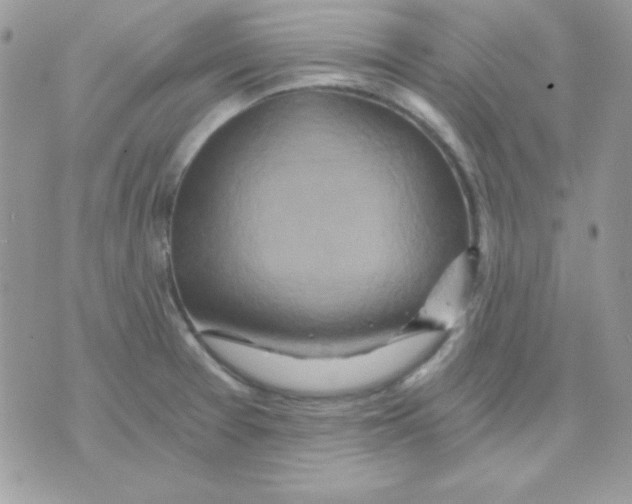 X0000071331377200607211956