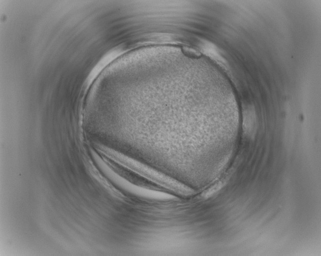 X0000071331378200607211956