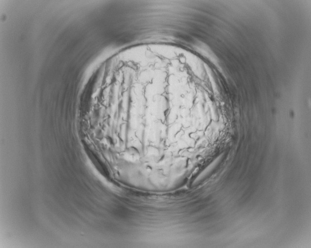 X0000071331379200607211956