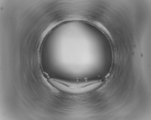 X0000071331380200607211956