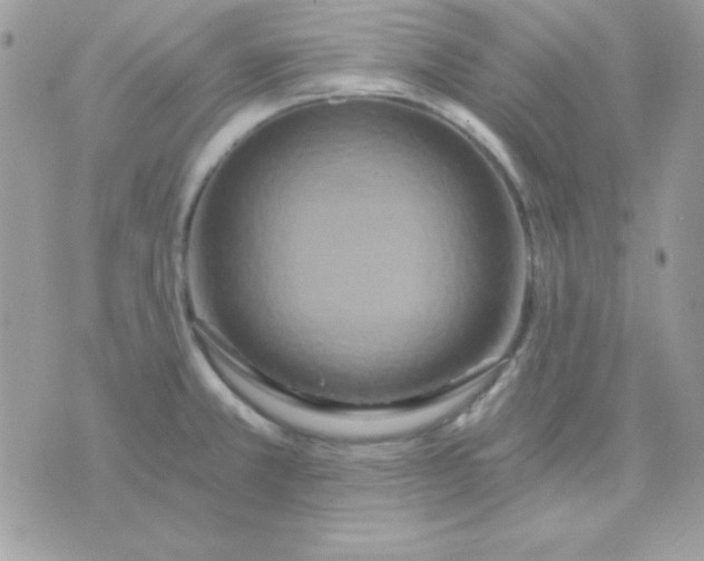 X0000071331381200607211956