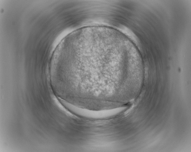 X0000071331382200607211956