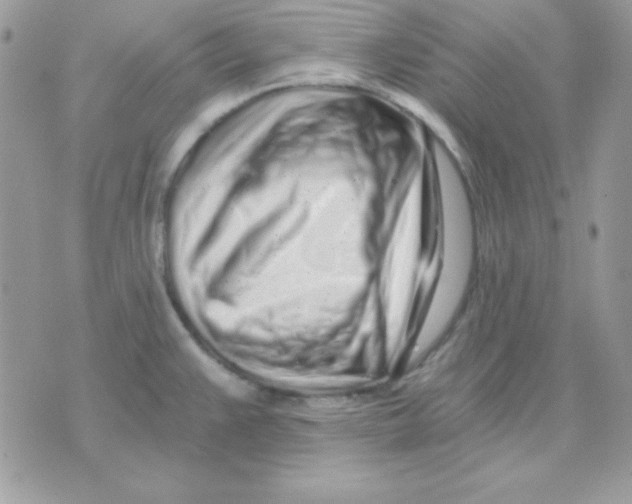 X0000071331383200607211956