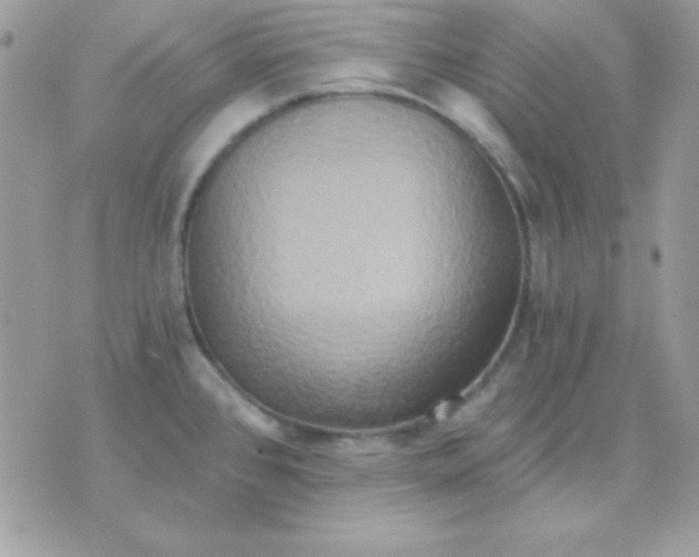 X0000071331384200607211956