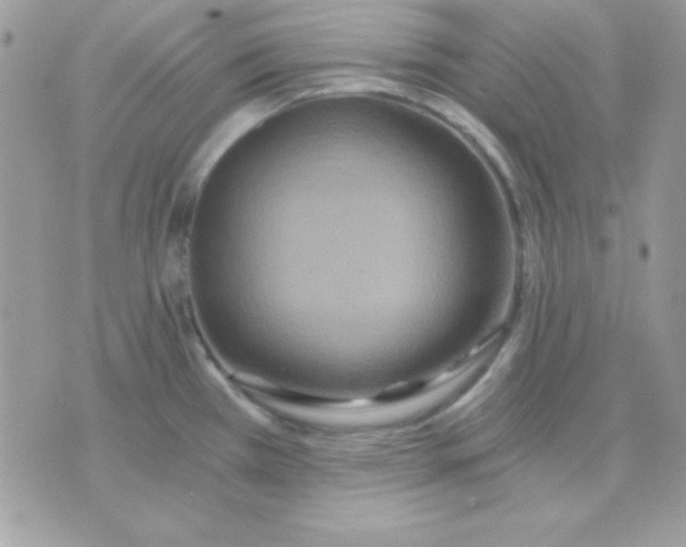 X0000071331385200607211956