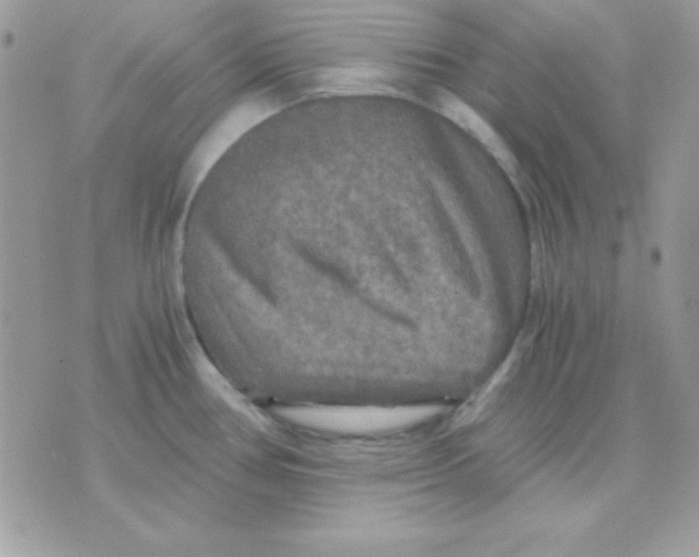 X0000071331386200607211956