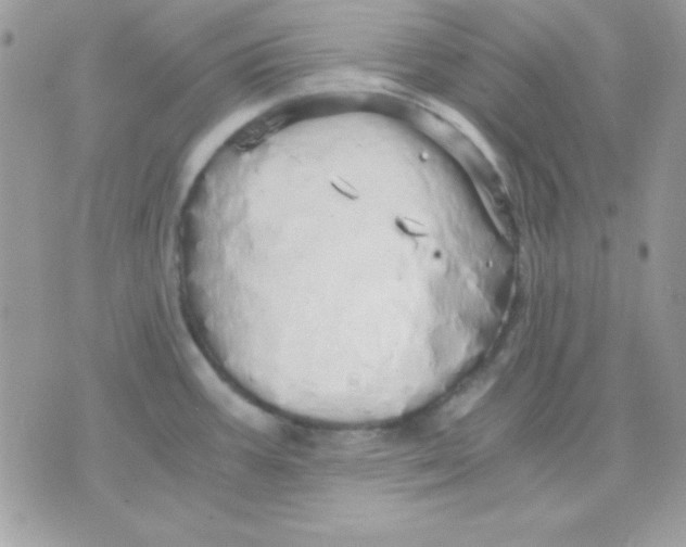 X0000071331387200607211956