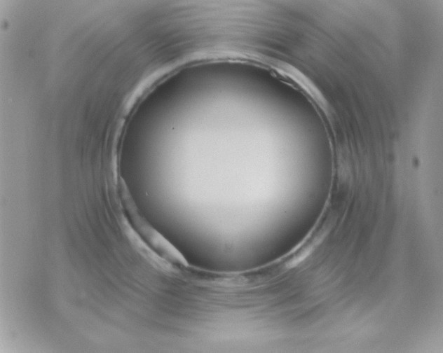 X0000071331388200607211956