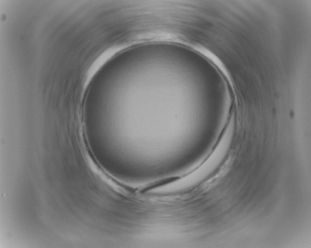 X0000071331389200607211956