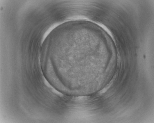 X0000071331390200607211956