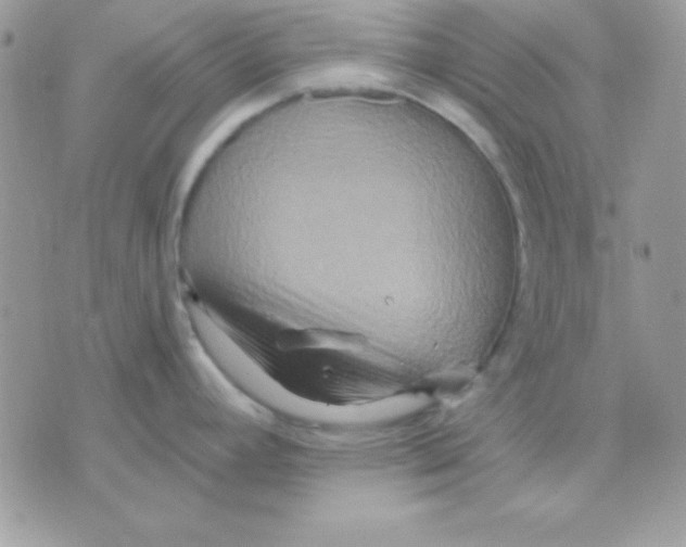 X0000071331392200607211956