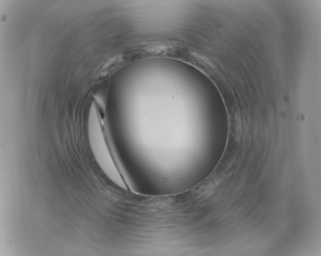 X0000071331394200607211955