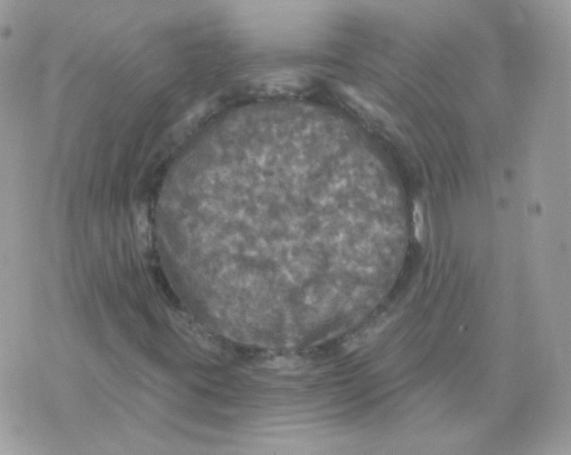 X0000071331395200607211955