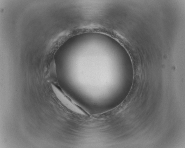 X0000071331398200607211955